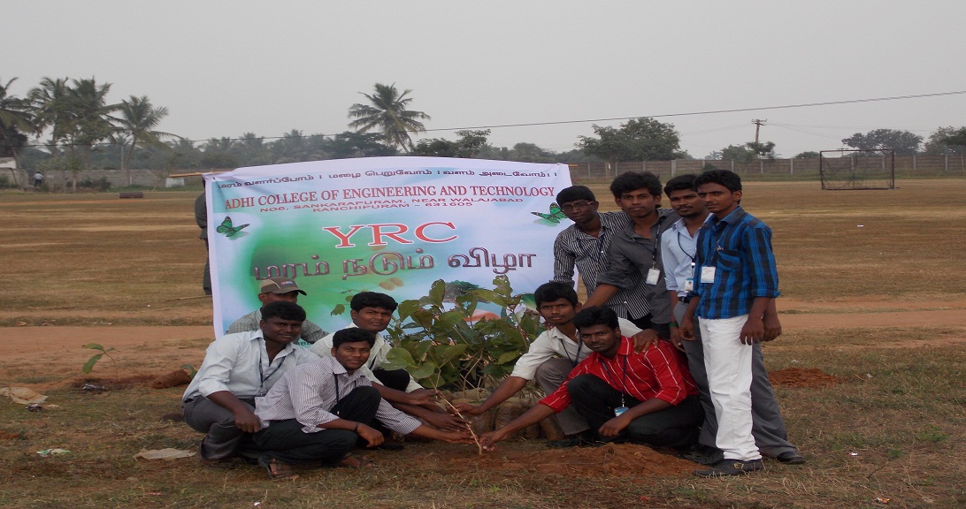 tree plantation- YRC